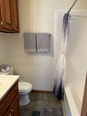 Hair dryer, towels, soap, toilet paper
