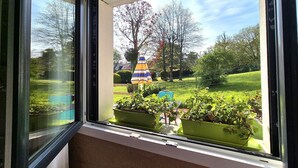 A window with a view of a garden, including a lawn, trees, and a colorful umbrella.