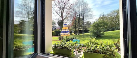 A window with a view of a garden, including a lawn, trees, and a colorful umbrella.