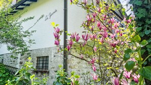 A building with a white exterior, a window, and a tree with pink flowers. - La Gioconda by Interhome (Vairano)