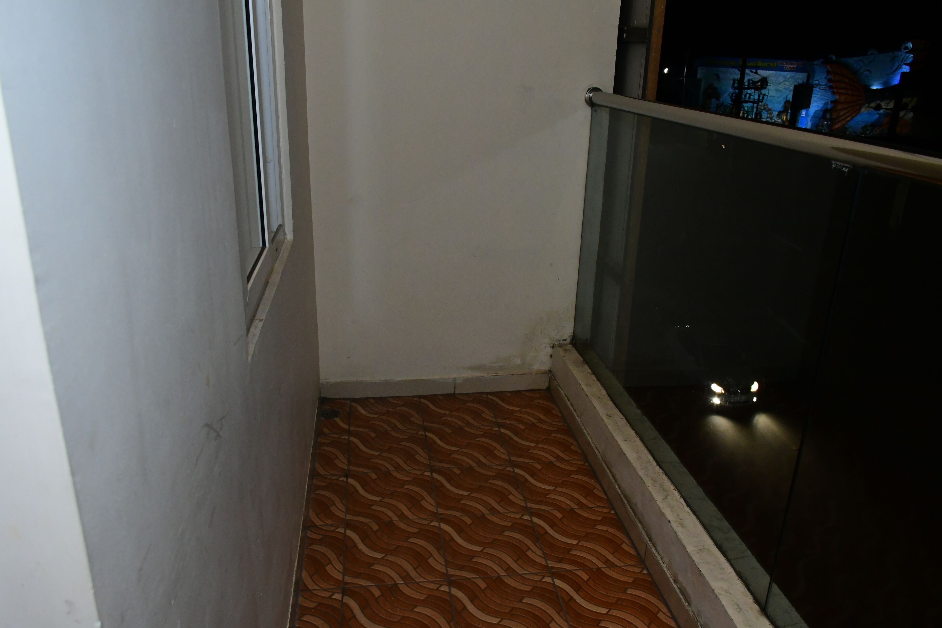 Habitació sènior | Balcó