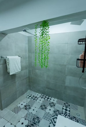 Shower, hair dryer, towels, soap