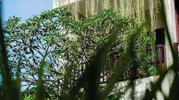 A building with a balcony covered in greenery, surrounded by dense foliage.