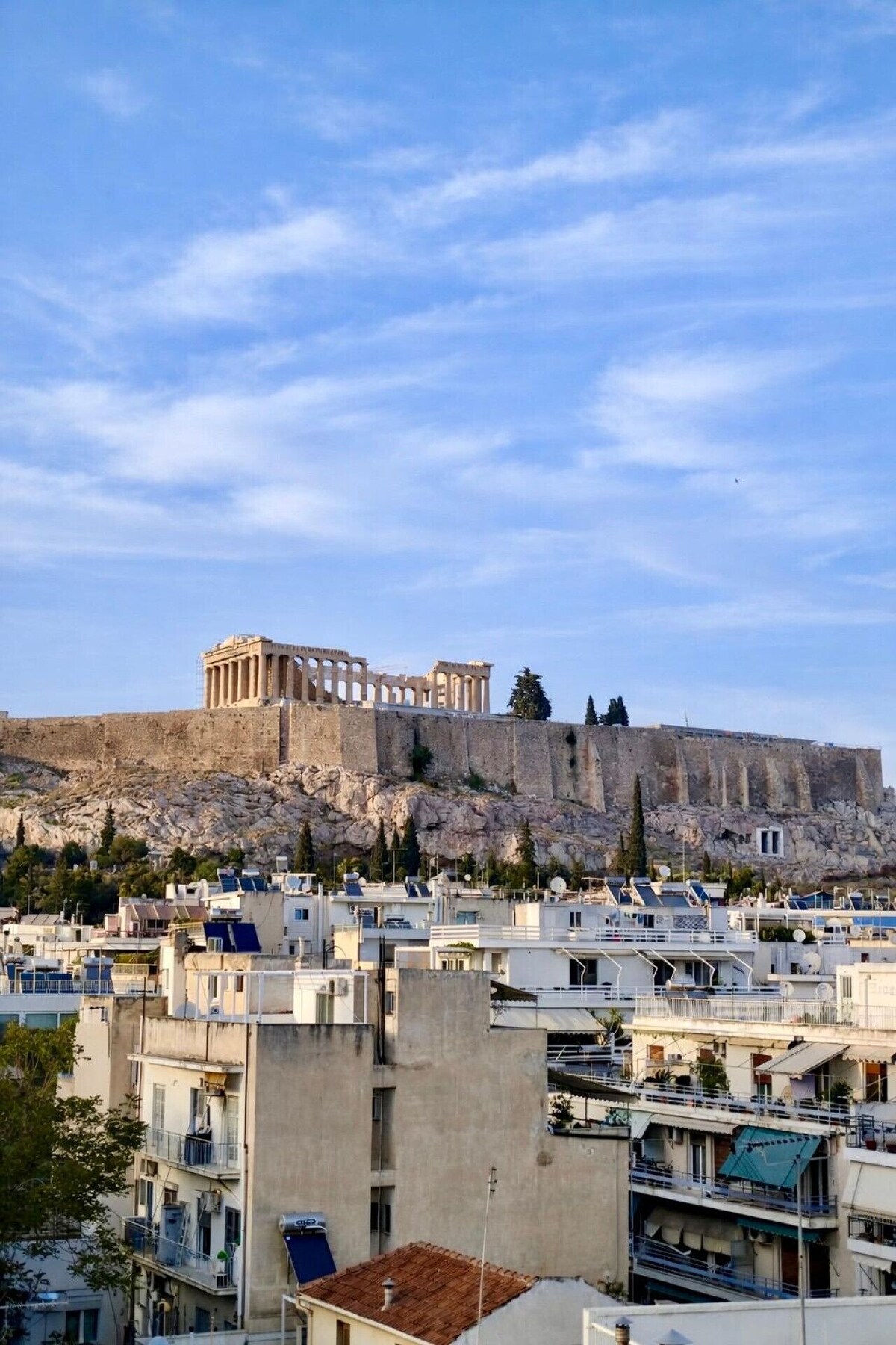 Imagen de perfil del propietario o de la propietaria