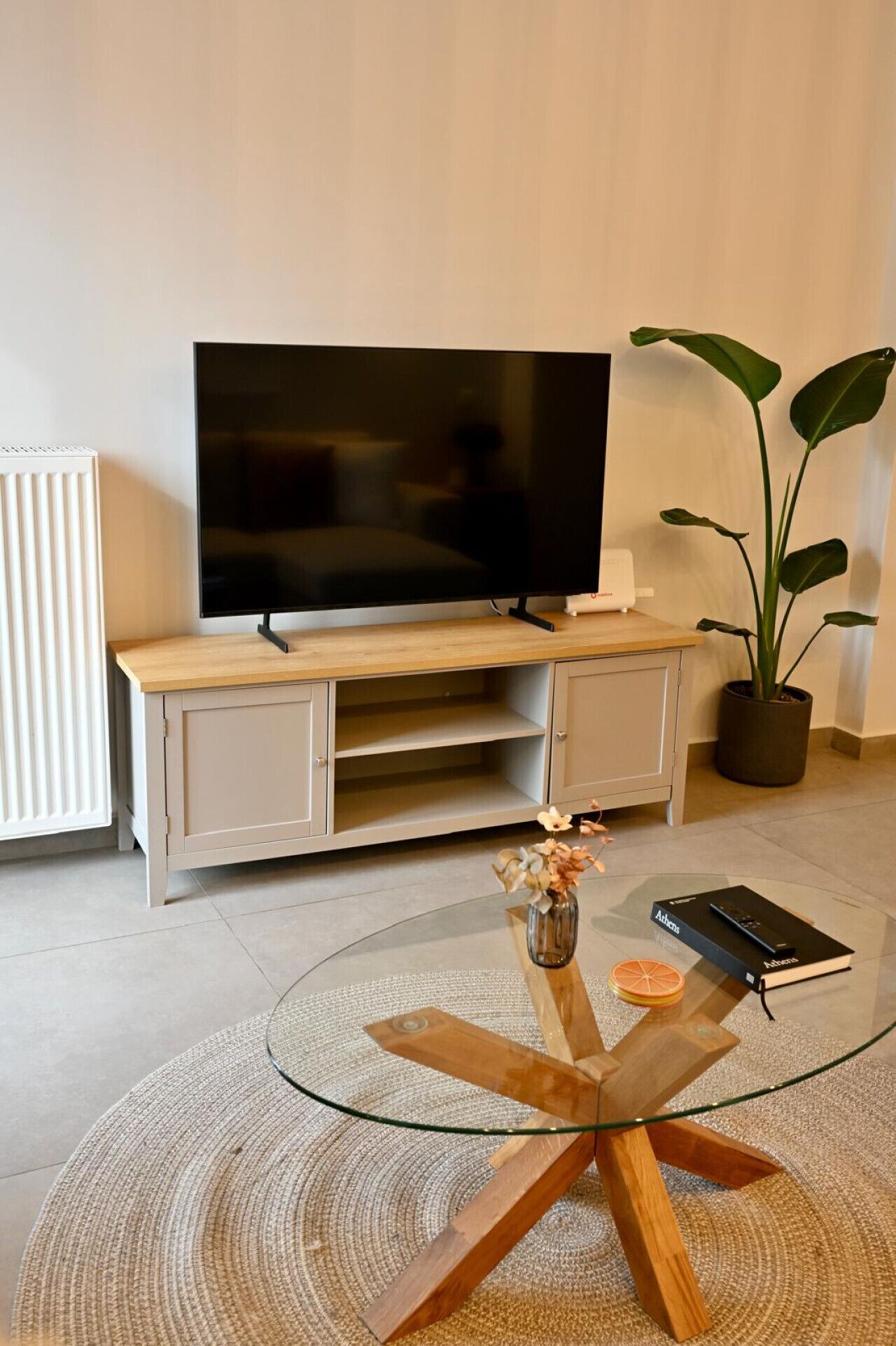 A living room with a flat-screen TV on a wooden TV stand, a glass coffee table with a vase and book, and a large plant.
