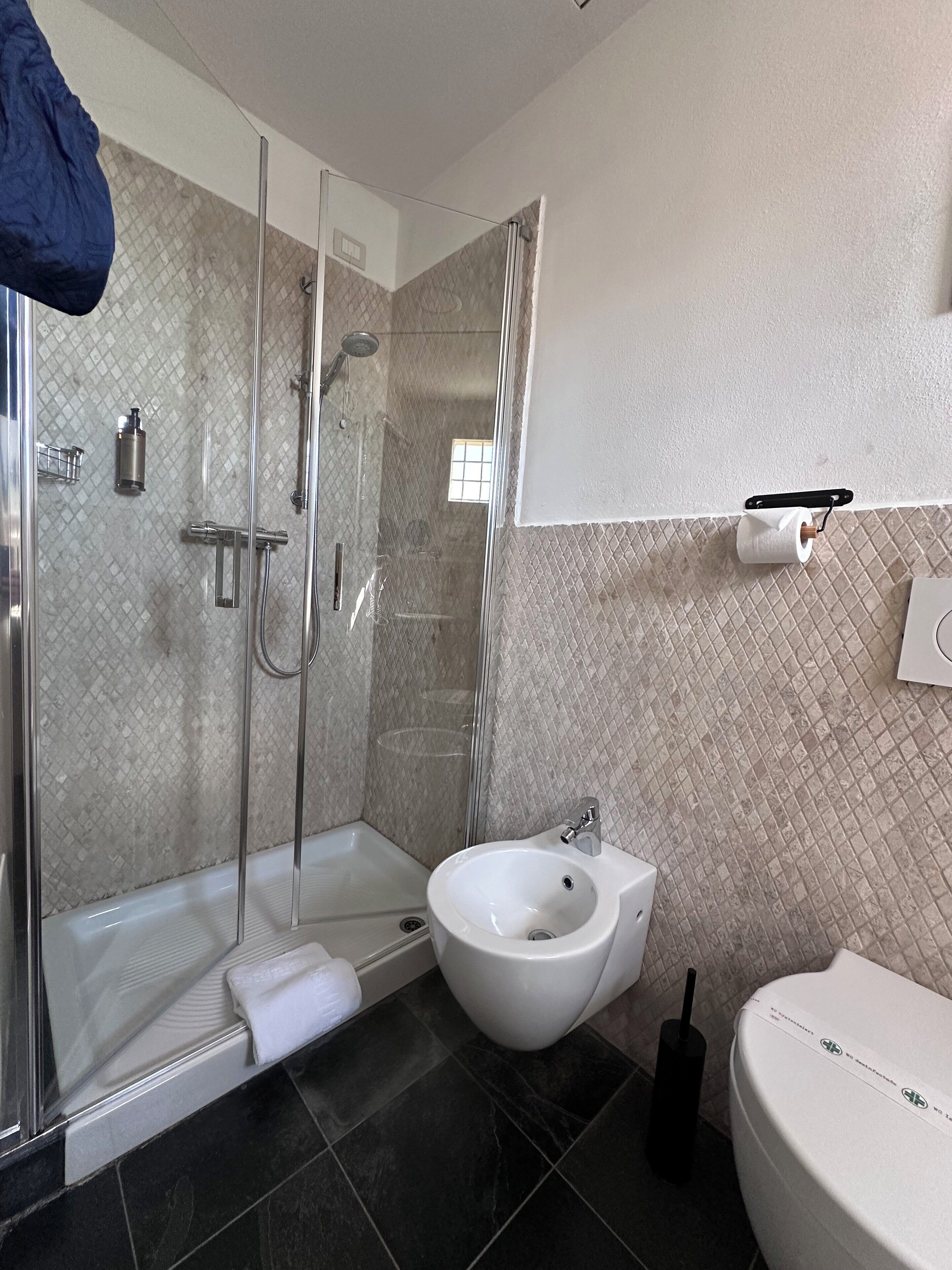 Ett modernt badrum med en dusch med glasväggar, en vit tvättställsbidet och en vit tvättställ.