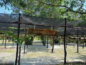 Jardim