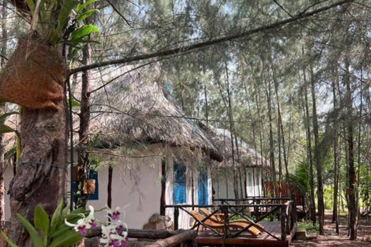 Forest Nest with King Bed Bungalow | Mountain view