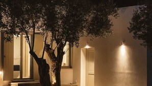 A modern building with a tree in front, a door, and steps leading up to the entrance. - Themis Homes Thallo  in Skyros (Skyros)