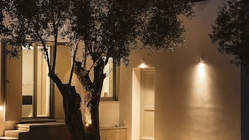 Detall de l'exterior