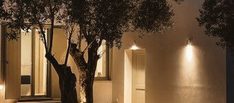 Themis Homes Thallo in Skyros