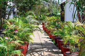 Un chemin bordé de plantes en pot et, au fond, un bâtiment à la façade blanche.
