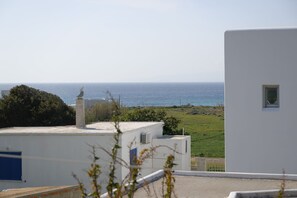 2 bedrooms - Naxos Kastraki Beauty Flat & Villa (Naxos)