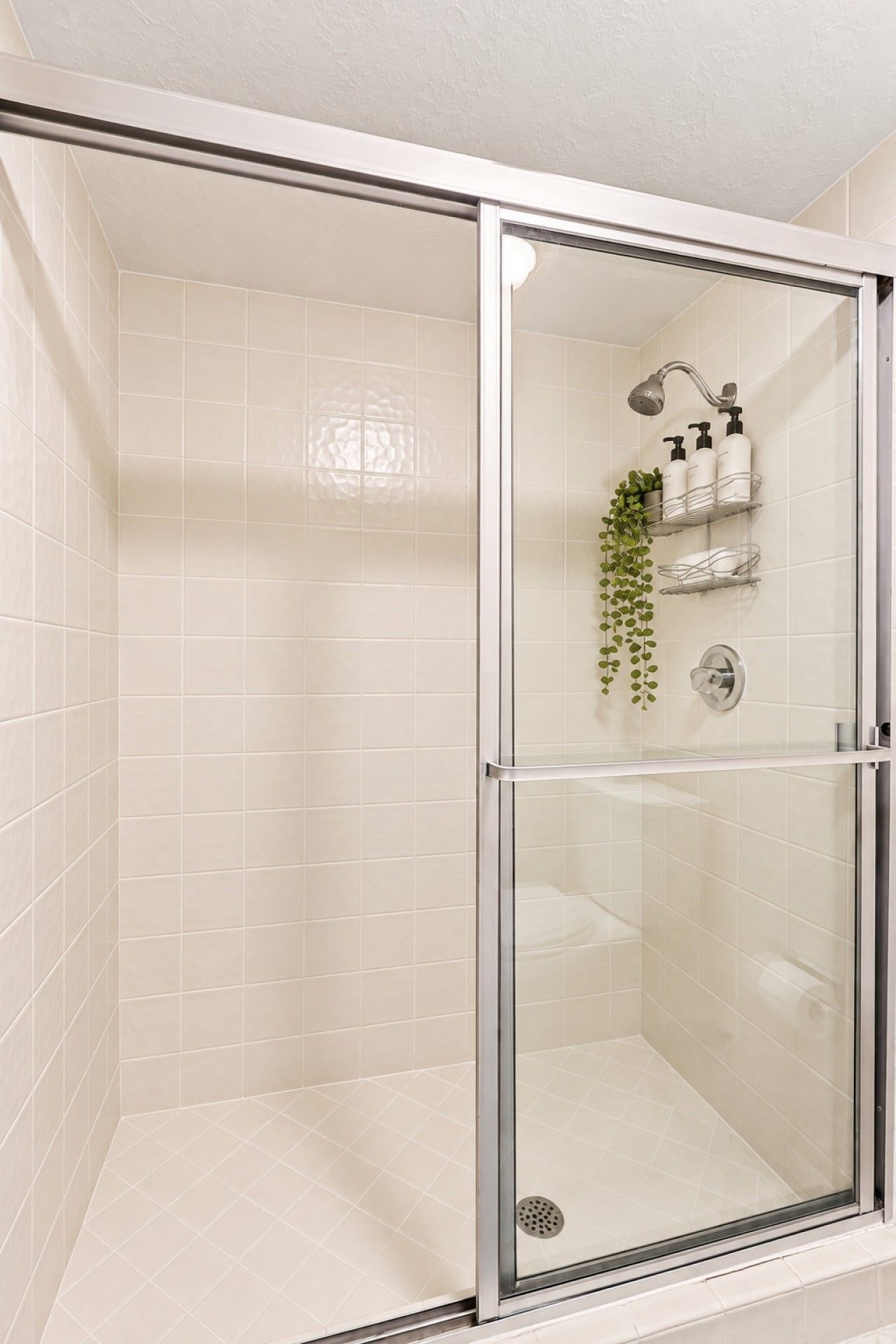 A glass-enclosed shower with a showerhead, a shelf with toiletries, and a hanging plant.