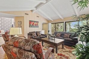 Télévision, cheminée, chaîne hi-fi, espaces bureaux