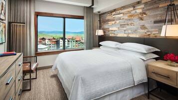 2 bedrooms, desk, iron/ironing board, travel cot