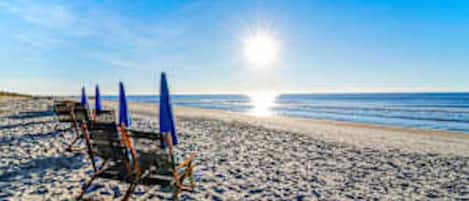 A beach with a row of beach chairs and umbrellas, a clear sky, and the ocean in the background.