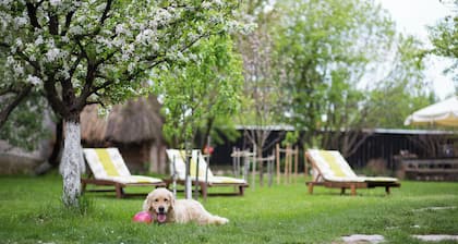 Sunny rooms and soft beds, ideal for lazy afternoons and silent nights.