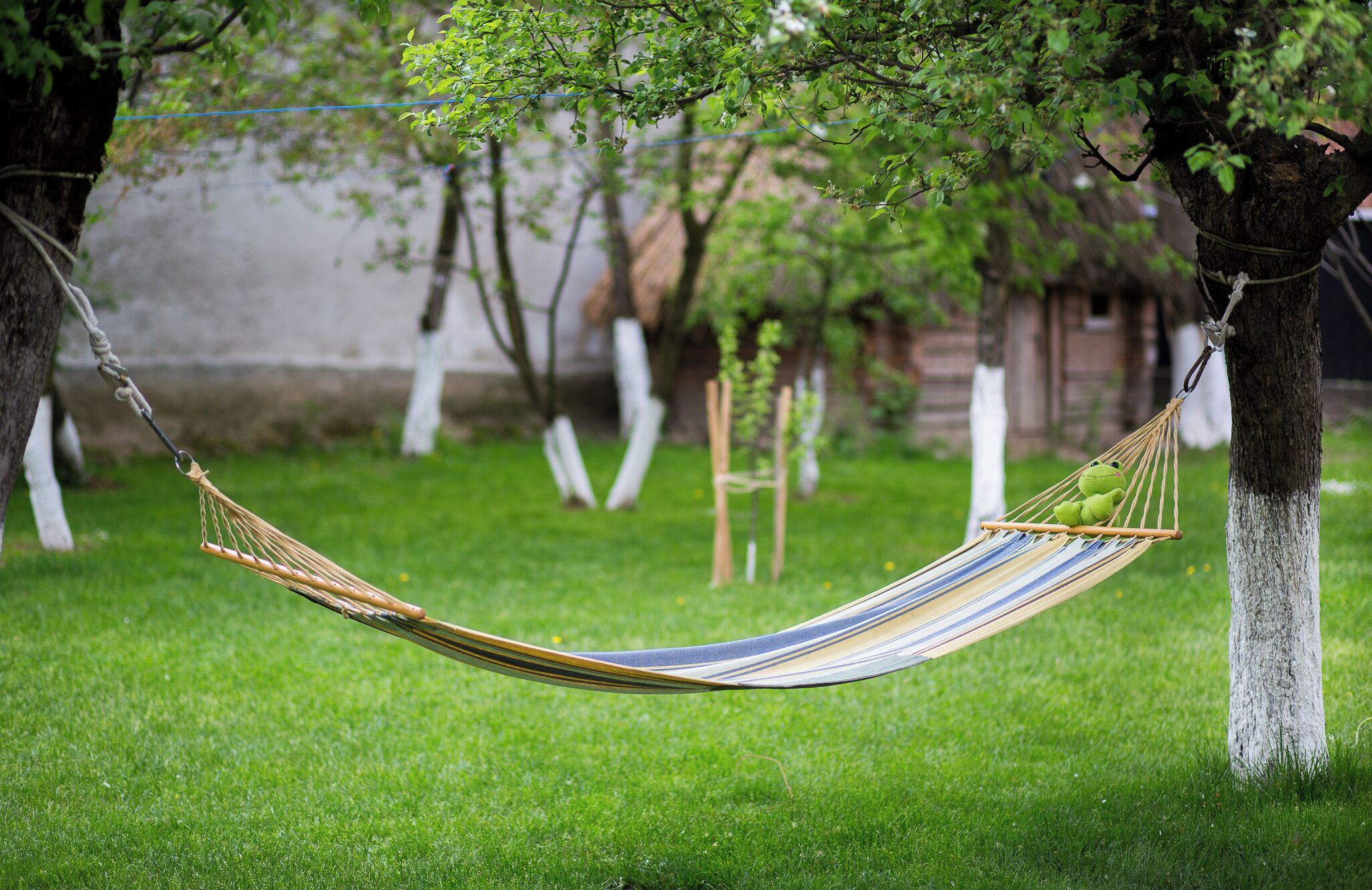 A hammock tied between two trees in a grassy area with a small green frog toy on it.