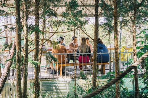 Oak Village by D Home Da Lat