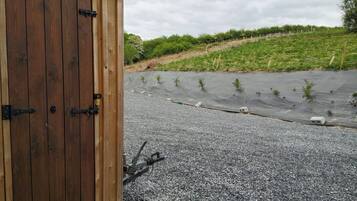 Cabin | Property grounds