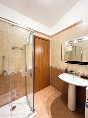 Shower, hair dryer, bidet, towels