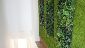 Una escalera que conduce a una habitación luminosa, con una pared verde cubierta de plantas.