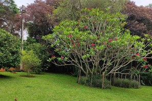 A garden with a tree bearing red flowers, surrounded by various shrubs and a well-maintained lawn. - A charming town near SP (Caioçara Jarinu)