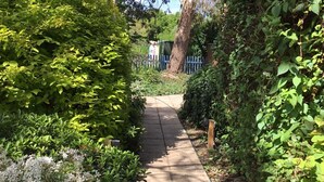 A narrow concrete pathway flanked by dense green foliage and flowering plants, leading to a building with a blue fence and a tree.