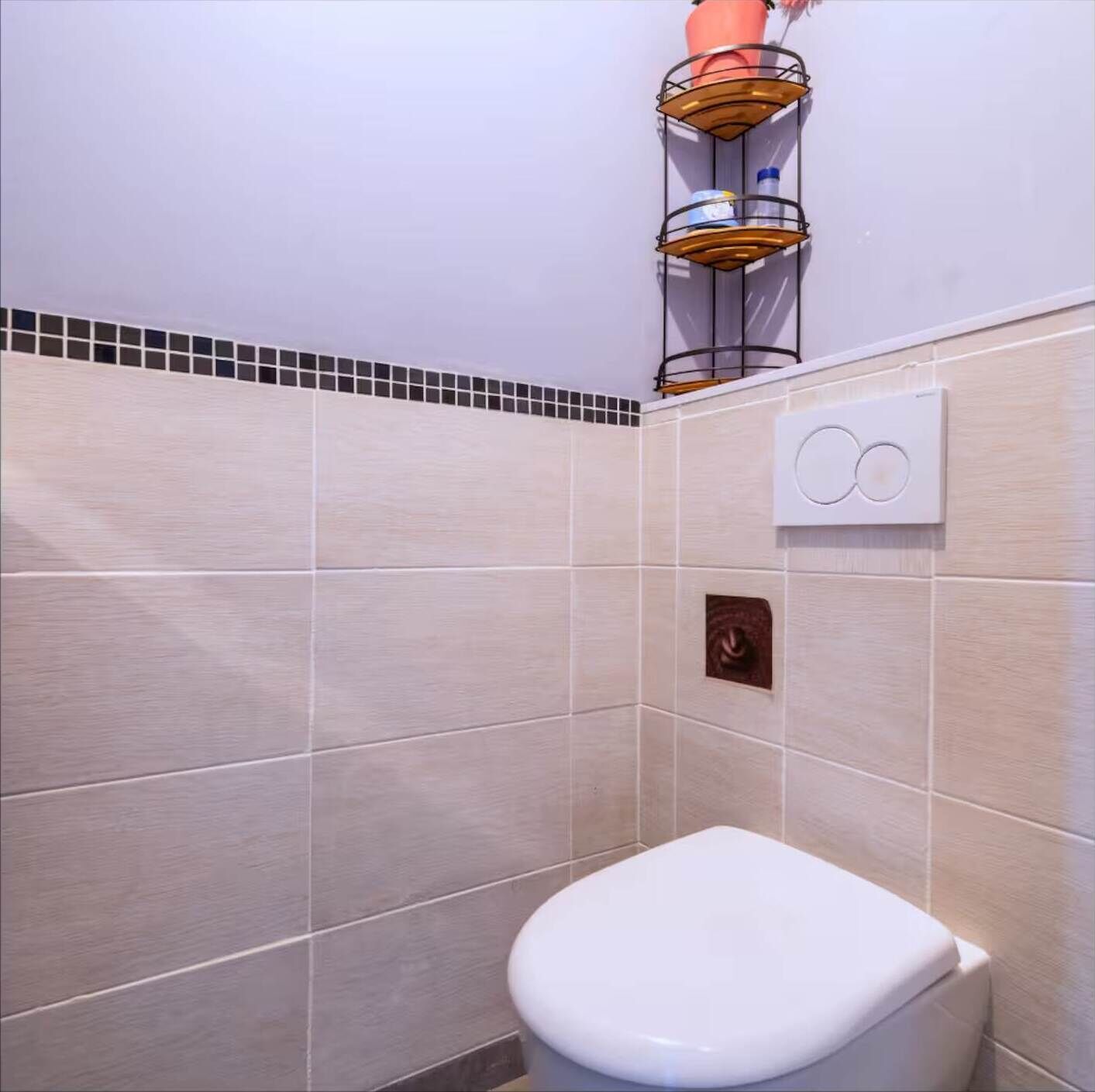 A bathroom with a toilet, a towel rack with a potted plant, and a wall-mounted light switch.