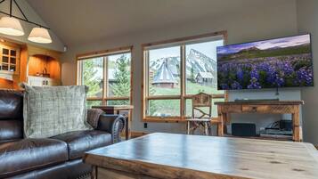 Télévision, cheminée, espaces bureaux