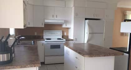 Beau chalet au bord du lac Abitibi CITQ:#296841