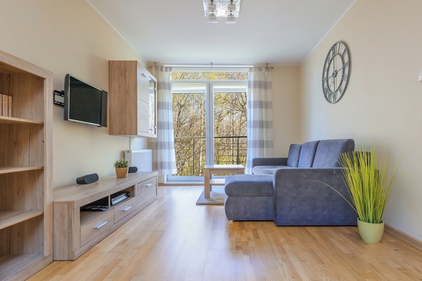 Apartment (22) | Living area | Flat-screen TV