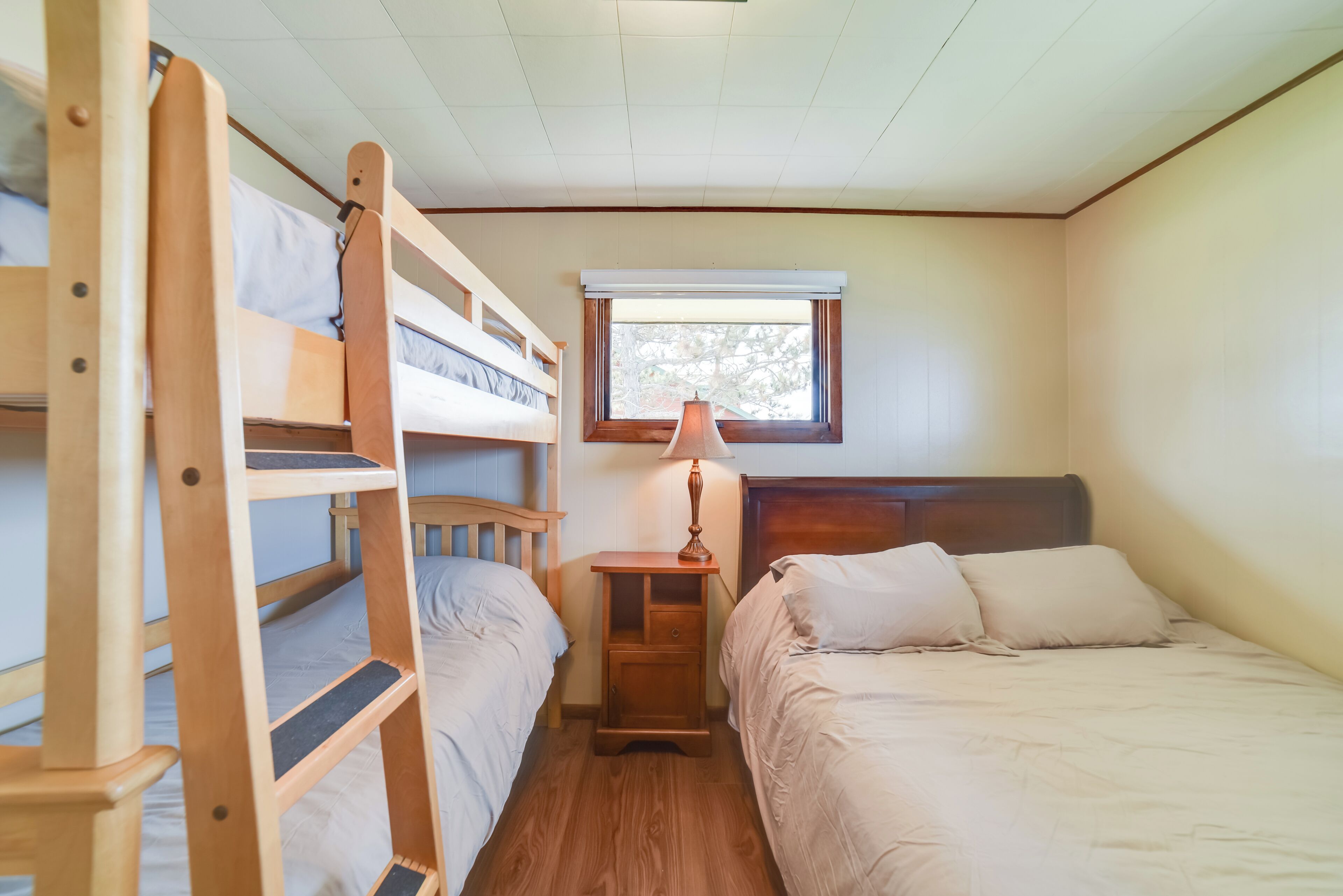 A dormitory room with bunk beds, a nightstand with a lamp, and a window with a view of trees.