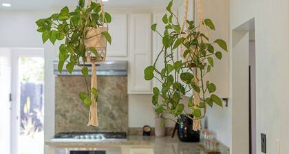 Full Modern Minimalist House With Charming Garden