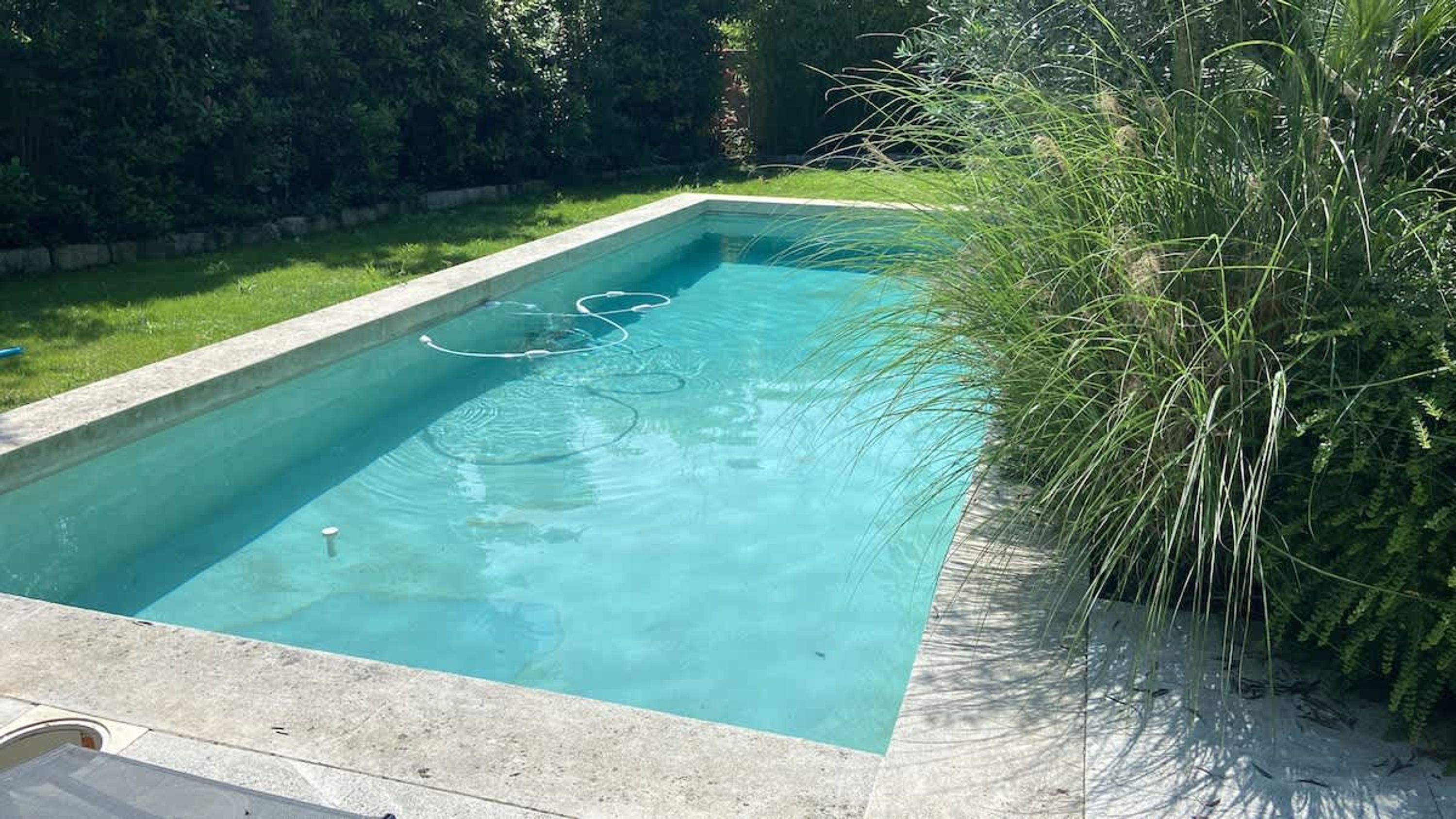 Une piscine rectangulaire à l’eau d’un bleu limpide, bordée d’une margelle en béton et entourée d’une zone herbeuse où poussent de hautes herbes et des arbres en arrière-plan.
