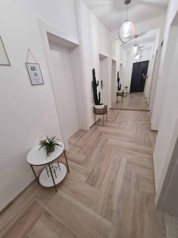 A modern hallway with a wooden floor, white walls, and minimalist decor including a cactus, a small table with a plant, and a sign offering free Wi-Fi.