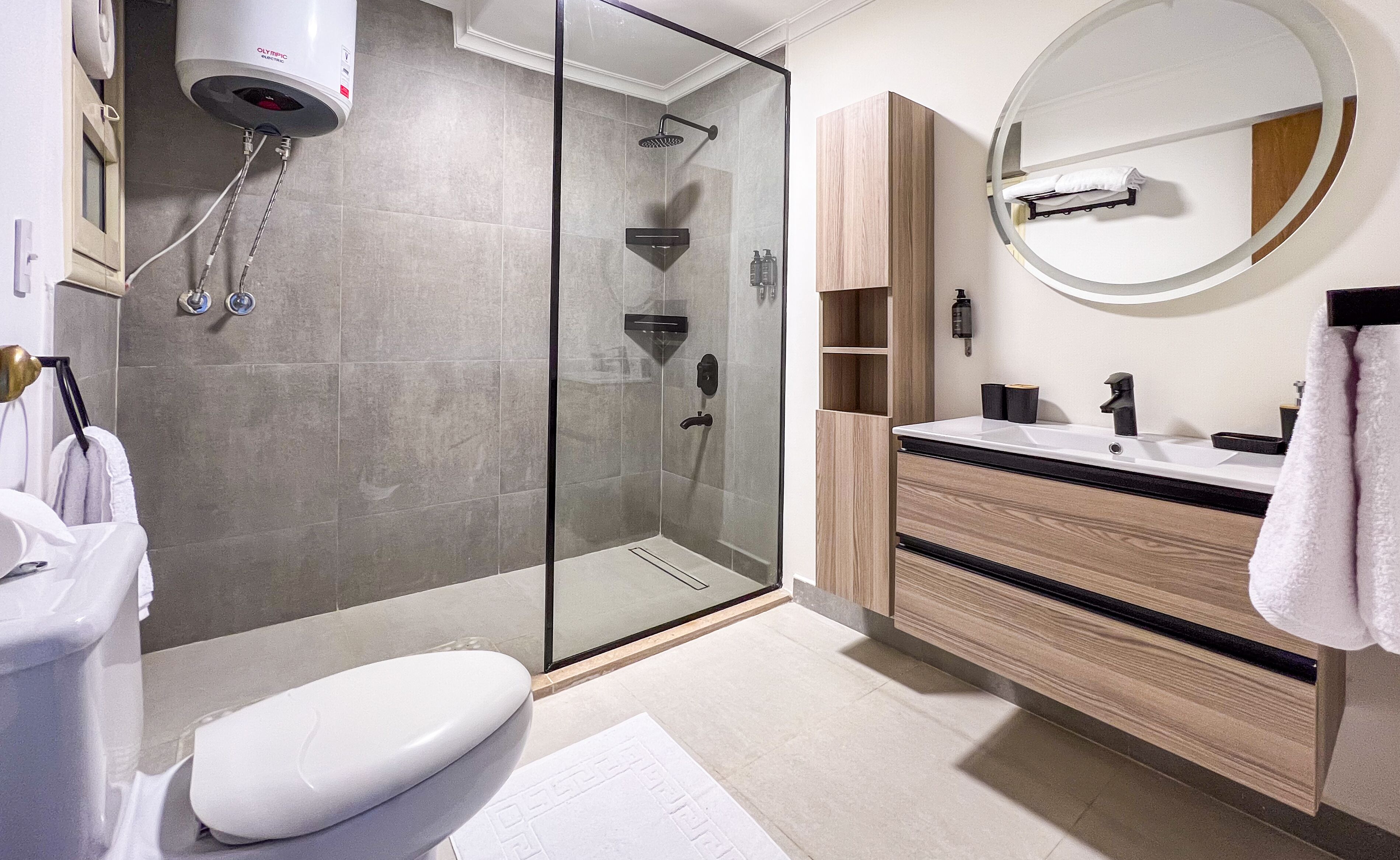A modern bathroom with a glass-enclosed shower, a toilet, a sink with a mirror, and wooden cabinetry.