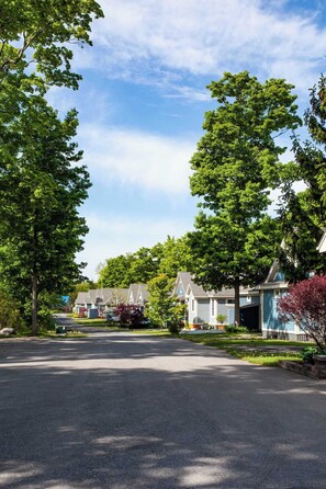 Property grounds - The Cottontail - 6 Meadow View (Prince Edward)