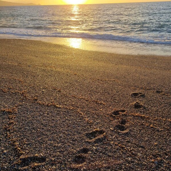 Sur la plage