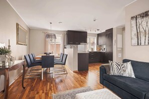 Fernseher, Arbeitsbereiche