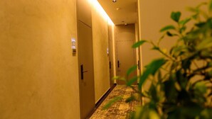 A hotel hallway with doors on the left, a carpeted floor, and a plant in the foreground. - Hotel Zeneli Vlore (Vlorë)