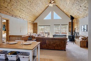 TV, fireplace, video games, offices - Aspen View Cabin Summ (Fairplay)