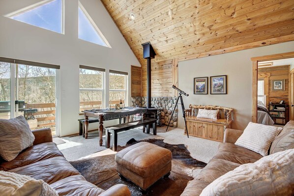 TV, fireplace, video games, books