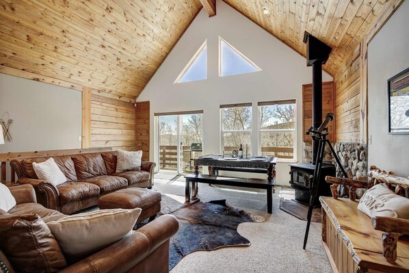 TV, fireplace, video games, books