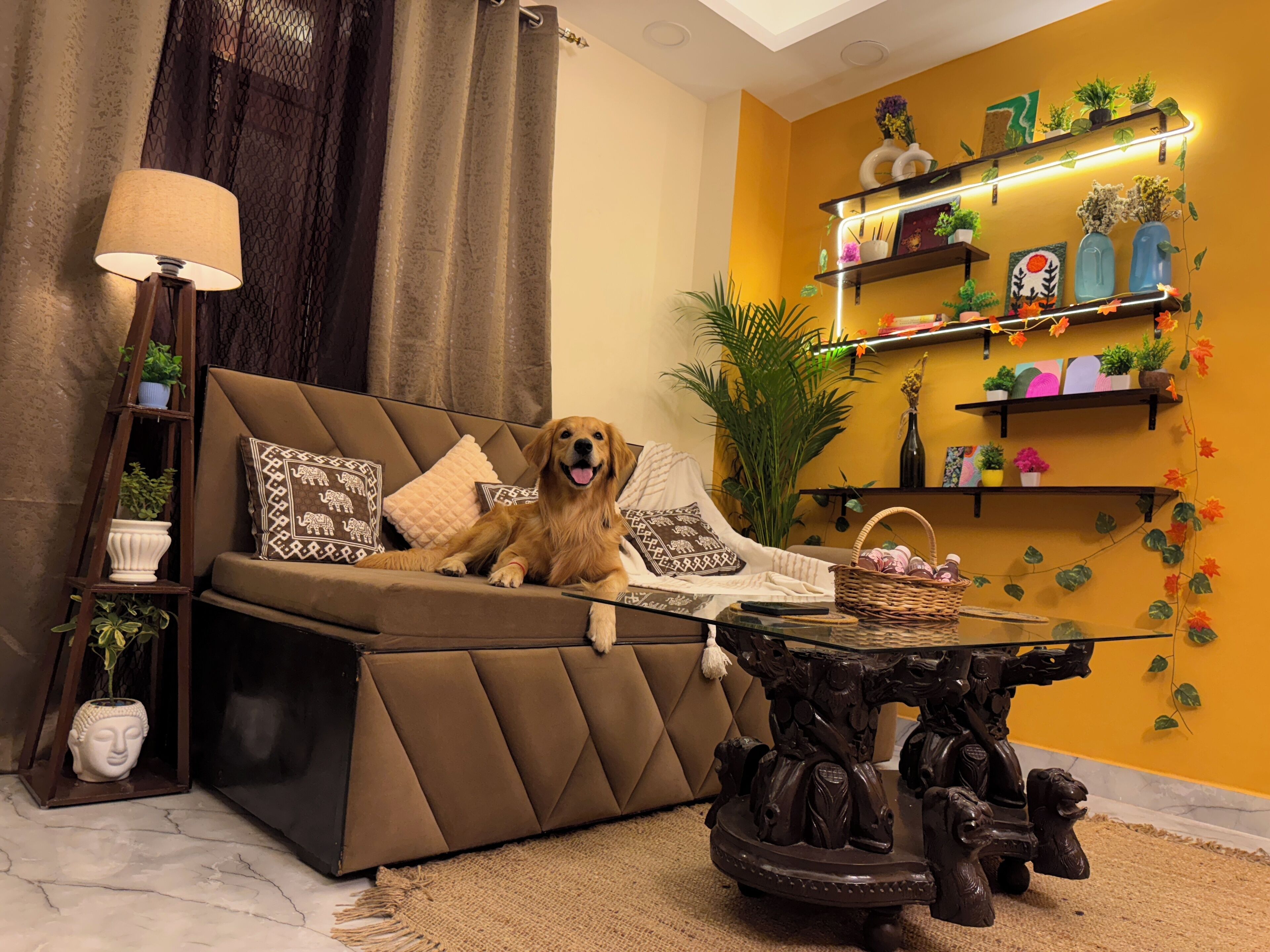 A cozy living room with a sofa, a decorative coffee table, and a dog.