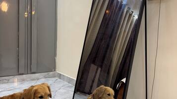 A dog lying on a marble floor next to a mirror reflecting a curtain.