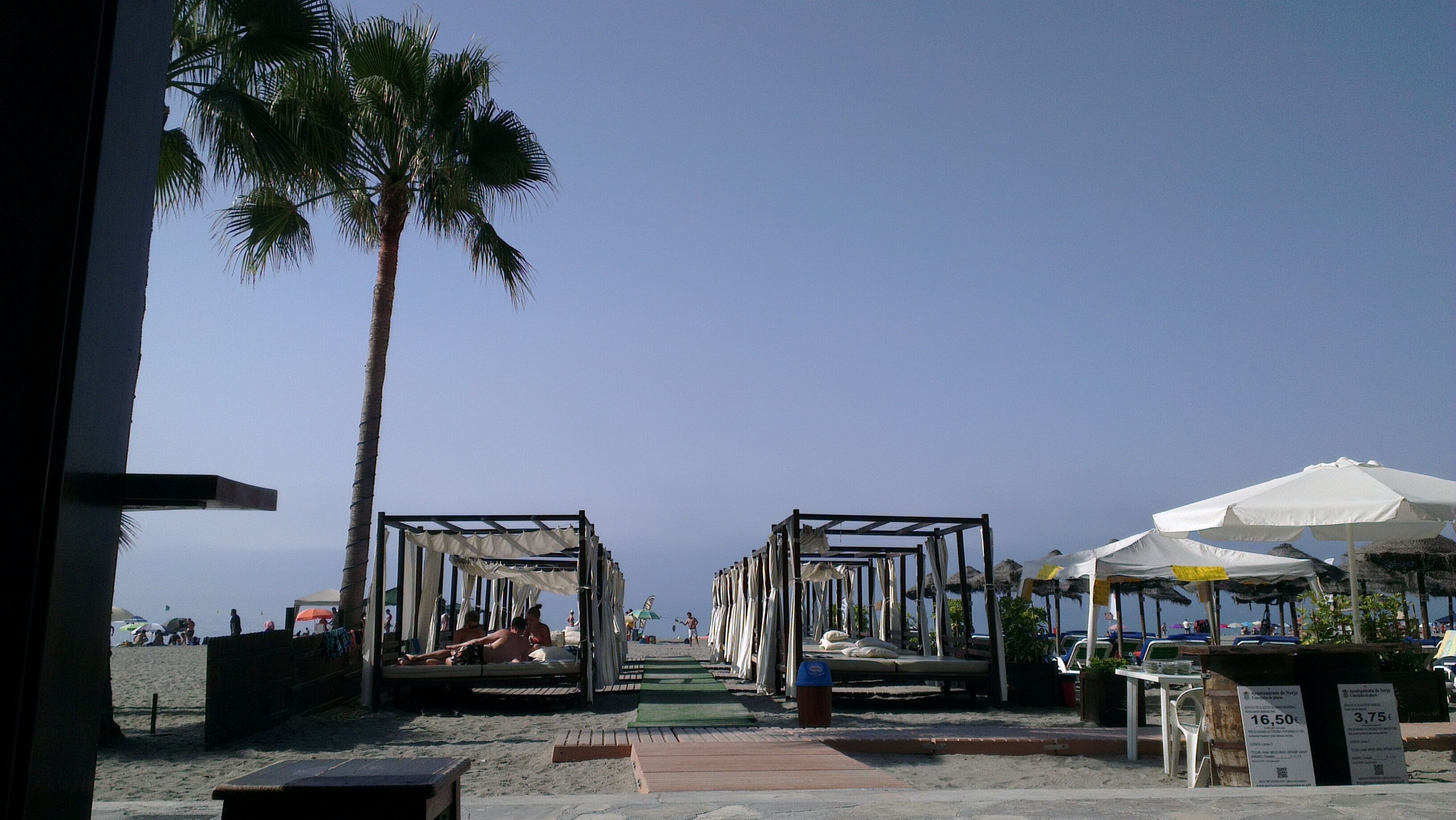 A beachside walkway with beach umbrellas and palm trees.