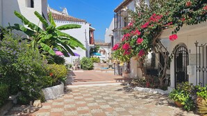 A narrow street with white buildings, a tiled pathway, and lush greenery.