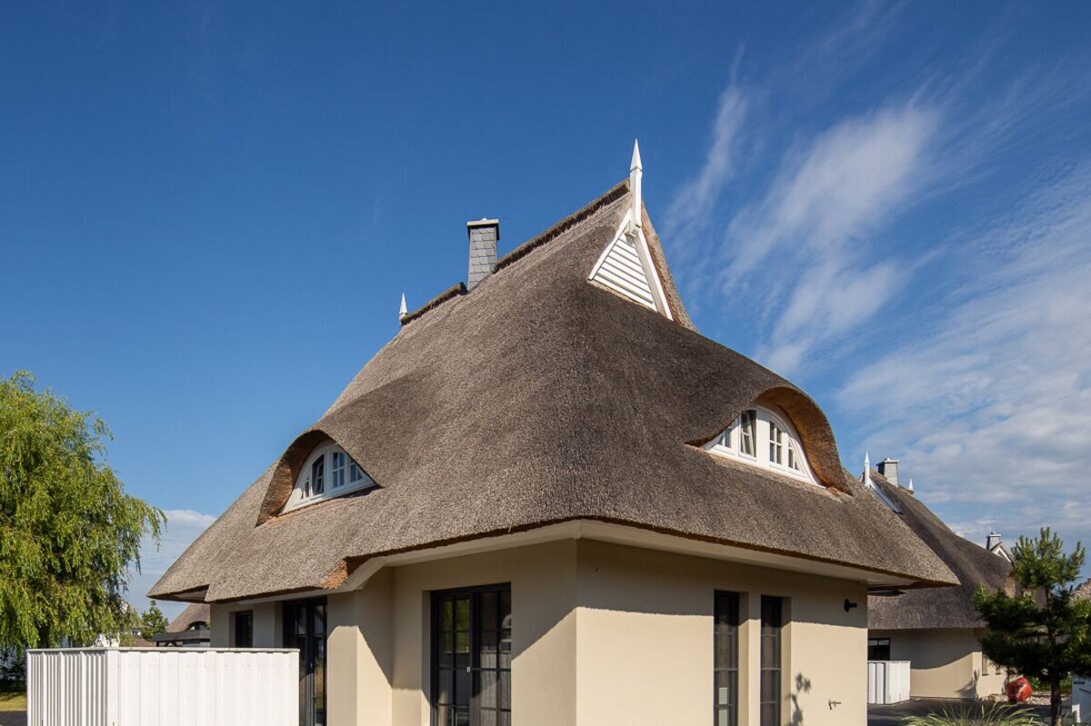 Imagen de perfil del propietario o de la propietaria